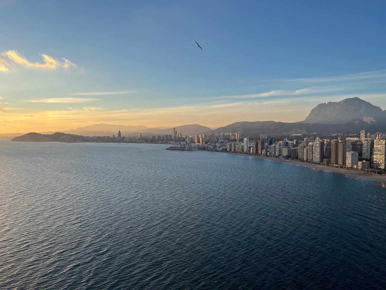 Vistas de gemelos 28