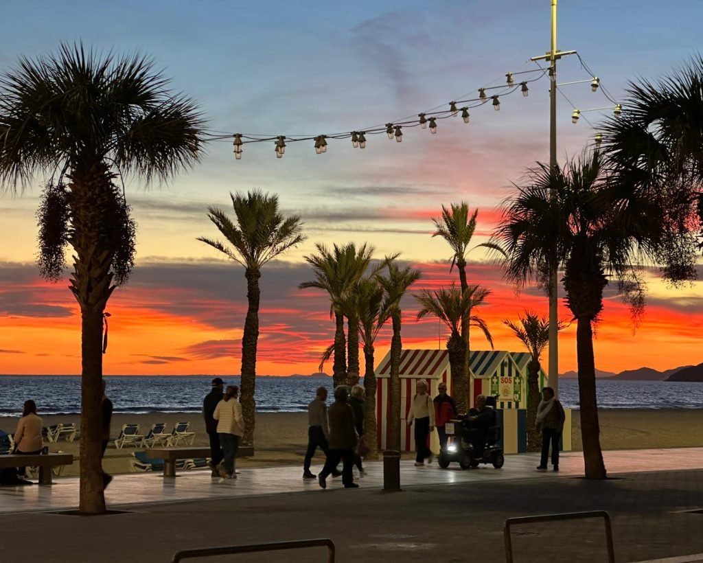 PHOTO-2026-02-07-19-58-22(3)